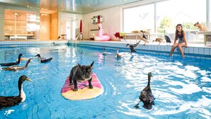 An indoor swimming pool with ducks and a dog on a float. - Landhotel Fettehenne (Leverkusen)