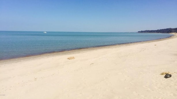 A beach with clear blue water and a sandy shore. - Harbor Haven: A Summer Getaway Just Steps from Lake Michigan (Union Pier)
