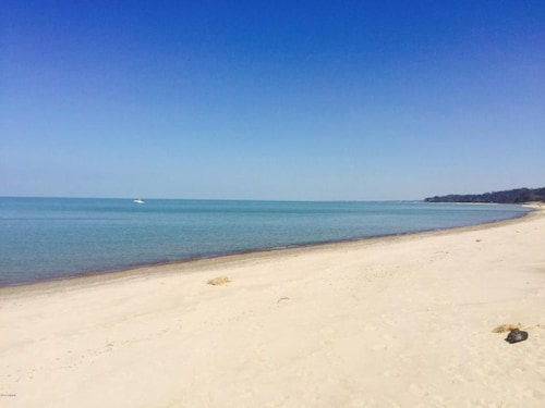 Harbor Haven: Union Pier's Charm Shines in the Fall!