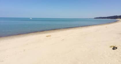 Harbor Haven: Union Pier's Charm Shines in the Fall!