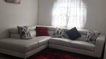 Tv, Netflix, streamingtjenester