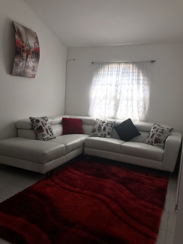 TV, Netflix, streaming services