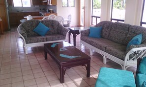 Smart-TV, Kamin, Netflix, Bücher