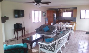 Smart-TV, Kamin, Netflix, Bücher