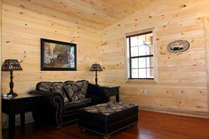 智能电视、壁炉、DVD 播放器