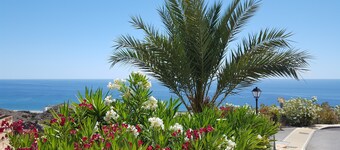 Appartement orienté au sud, vue fantastique sur la mer, terrasse, plage à 300m