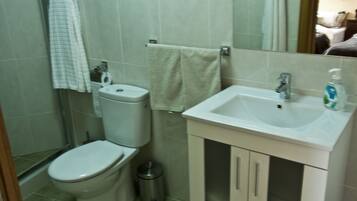 Secadora de cabello, toallas, jabón, papel de baño