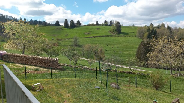 A rural landscape with a stone wall, a fenced area, and a path.