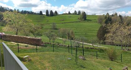 Calm and tranquility