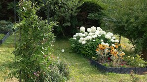 A garden with a metal trellis, various plants, and a stone structure.
