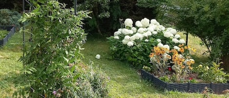 Um jardim com uma treliça de metal, diversas plantas e uma estrutura de pedra.