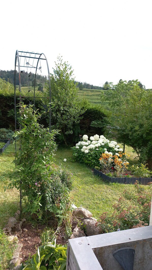 A garden with a metal trellis, various plants, and a stone structure.