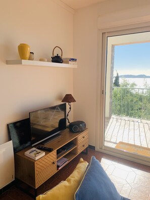 Télévision, lecteur de DVD, livres