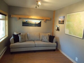 Älytelevisio, DVD-soitin, kirjoja, videokirjasto