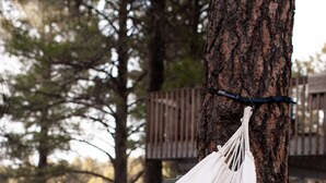 A white hammock tied to a tree trunk in a wooded area. - The Bright Boho-Tel  (Flagstaff)
