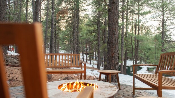 A wooden bench and table set in a forested area with a stone fire pit. - The Bright Boho-Tel  (Flagstaff)