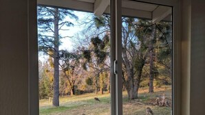 A window with a view of a grassy area with trees and a fence. - Kirkwood Ski, Wineries, Caves, Family friendly, near Gold Country (Volcano)