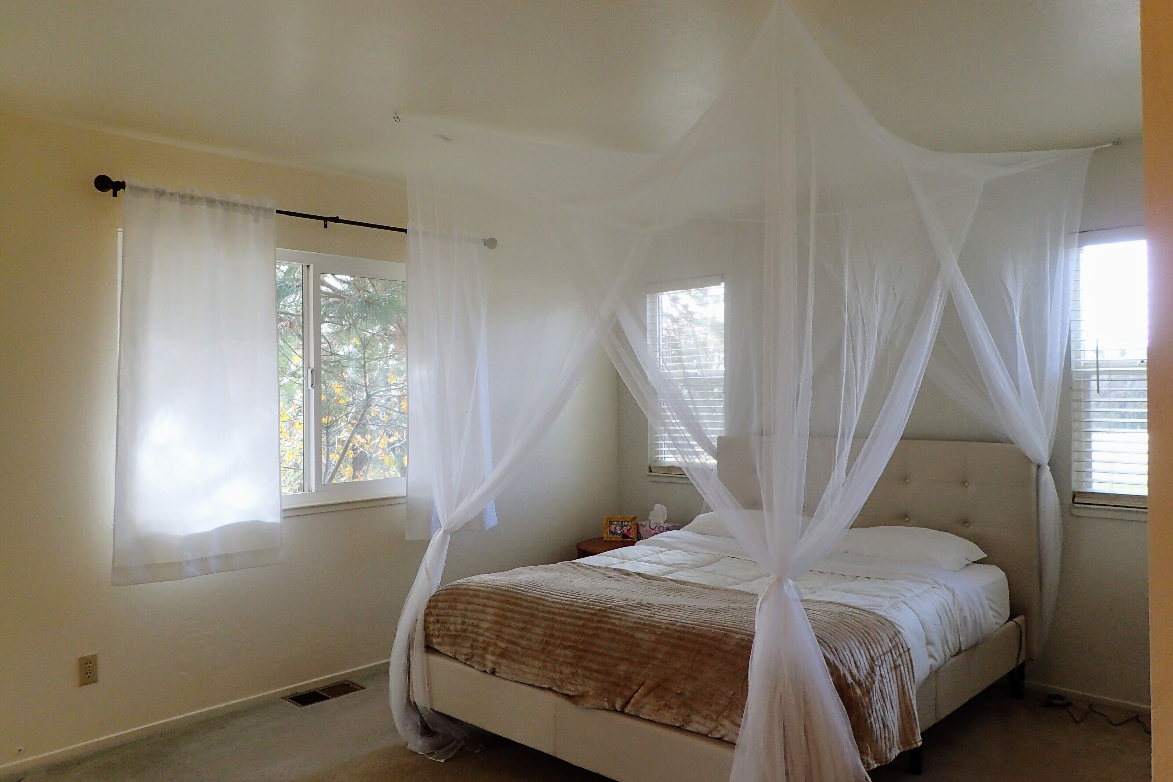 Retreat with Views and modern comfort near Kirkwood Ski, wineries, gold country