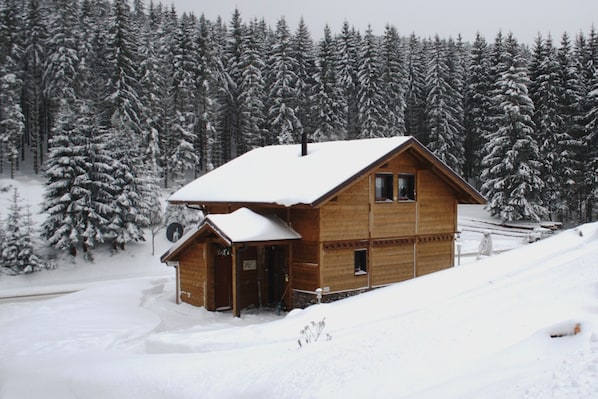 A wooden cabin with a snow-covered roof, surrounded by a forest of snow-laden trees.