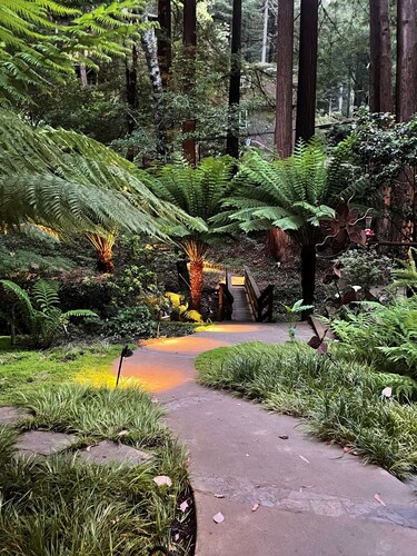 Nestled in the Redwoods, Easy Walk Downtown, Close to SF and Wine Country
