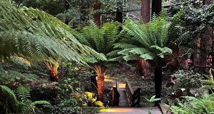 Nestled in the Redwoods, Easy Walk Downtown, Close to SF and Wine Country