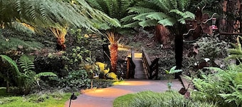 Ubicado en Redwoods, Easy Walk Downtown, cerca de SF y Wine Country