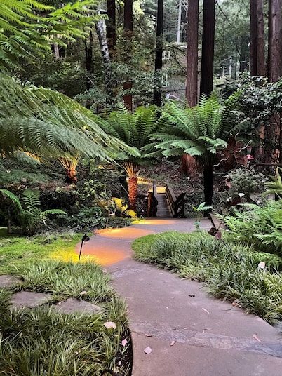 Nestled in the Redwoods, Easy Walk Downtown, Close to SF and Wine Country