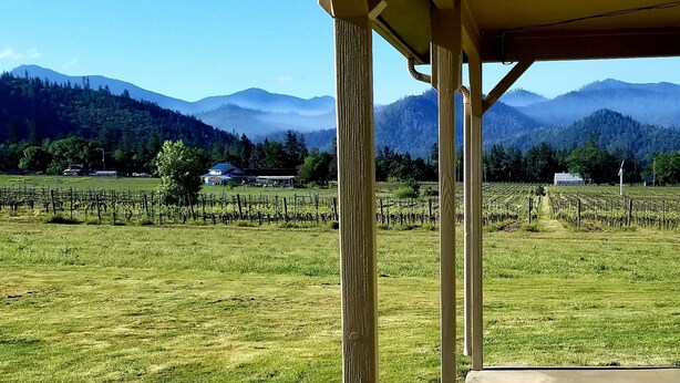 A vineyard with rows of grapevines, a wooden structure with a porch, and a mountain backdrop.