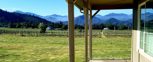 Property grounds - Relax and unwind in our 3br-2ba house on Historic Troon Estate Vineyard! (Grants Pass)