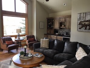 TV, fireplace, DVD player, video library