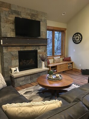 Téléviseur, foyer, lecteur de DVD, sélection de films