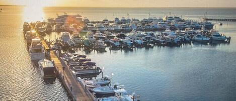 Marina