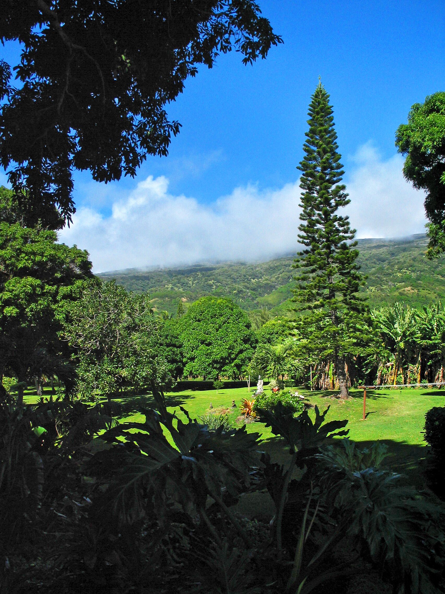 Overnattingsstedets uteområder