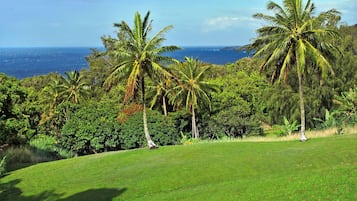 Golfe