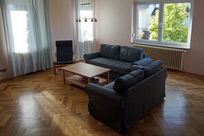 Fernseher, Kamin