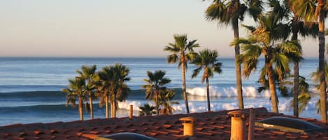 A tiled roof with palm trees and the ocean in the background.