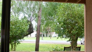 Vista desde el interior de un edificio hacia un área verde con árboles y una banca.