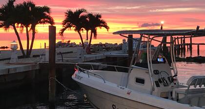 Kala, sukella, rentoudu Floridan lahdella veneen liukastumisen avulla.