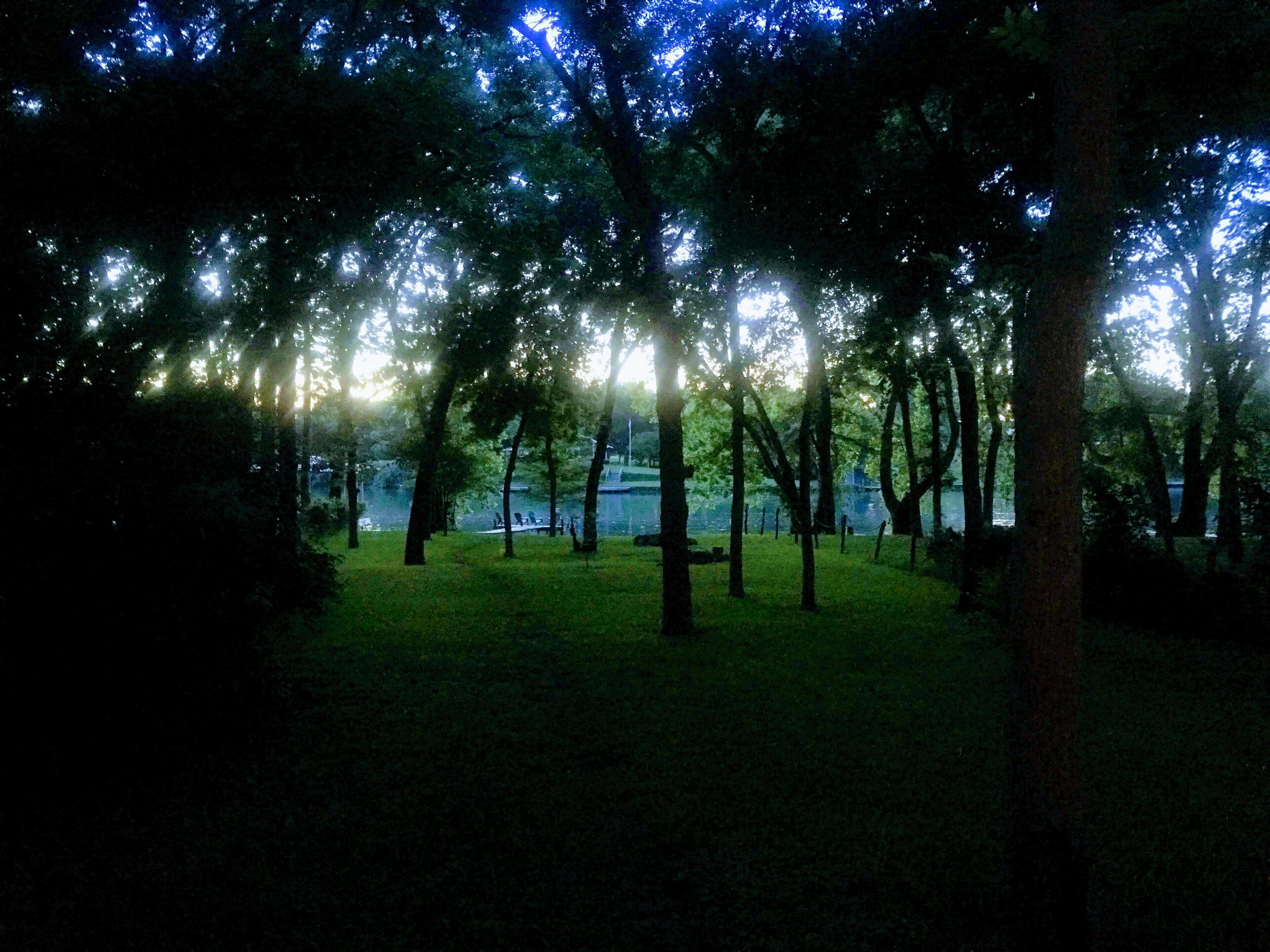 15 Best PetFriendly Cabins Near Guadalupe River, Texas Trip101