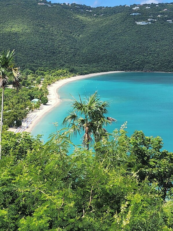 Camastros y toallas de playa 