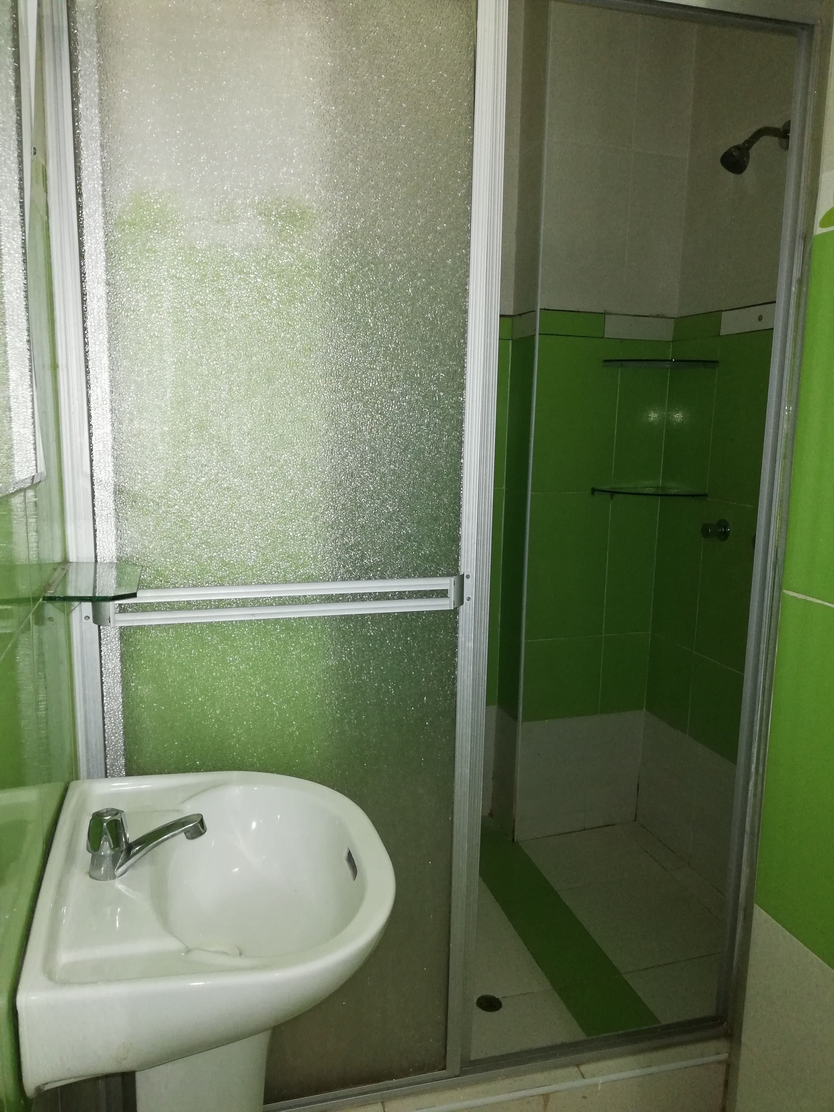 Une salle de bain avec un lavabo blanc, un espace douche et des murs recouverts de carreaux verts.