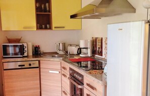 Kühlschrank, Mikrowelle, Herdplatte, Geschirrspüler