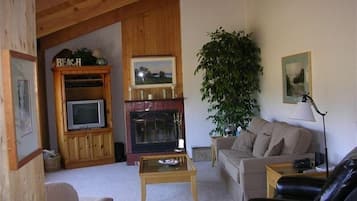 TV connectée, cheminée, lecteur de DVD, livres