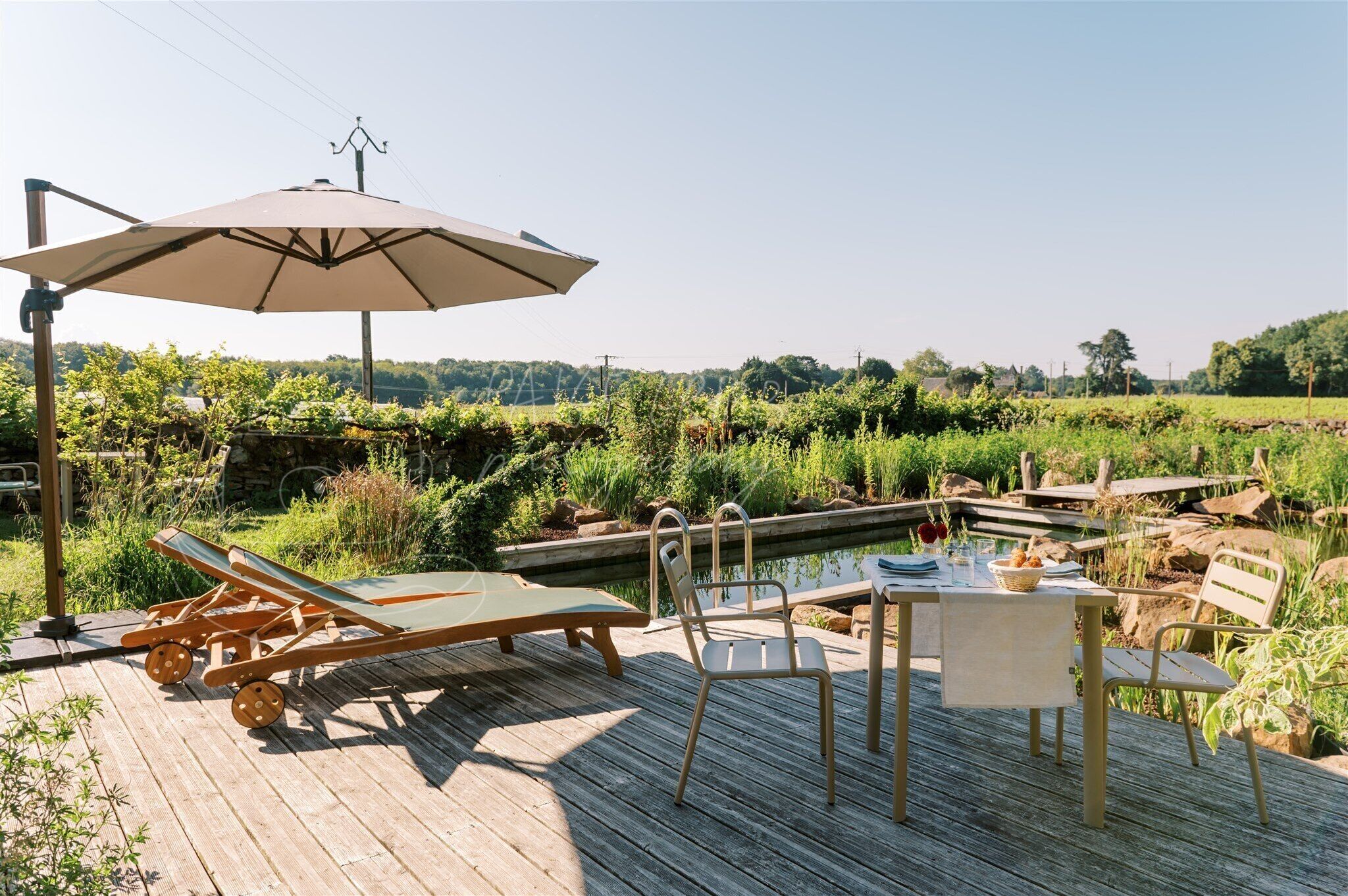 Outdoor pool, sun loungers