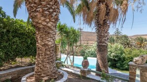 Ein angelegter Garten mit Palmen, einem Schwimmbecken und einem Kiesweg.