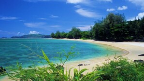 Une plage à l’eau turquoise et limpide, bordée d’un rivage sablonneux et d’une végétation luxuriante.