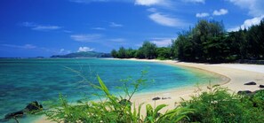 Beach - Upstairs Corner Unit with Great Ocean Views! Close to Beaches/Golfing/Shops (Princeville)