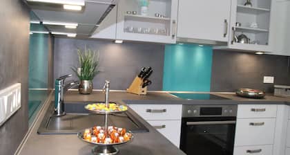 Luxury house, fireplace, whirlpool, sauna, playroom, beach chair, garden, 8 adults & baby