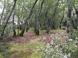 Overnattingsstedets uteområder