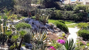 Un jardín con diversos cactus y suculentas, un sendero y una vista al mar en el fondo.
